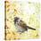 Tree Sparrow-Michelle Campbell-Stretched Canvas