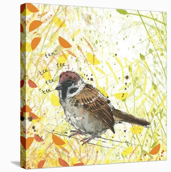 Tree Sparrow-Michelle Campbell-Stretched Canvas