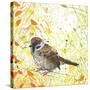 Tree Sparrow-Michelle Campbell-Stretched Canvas