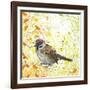 Tree Sparrow-Michelle Campbell-Framed Giclee Print