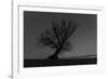 Tree, Star Tracks-Jurgen Ulmer-Framed Photographic Print