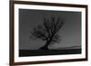 Tree, Star Tracks-Jurgen Ulmer-Framed Photographic Print