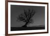 Tree, Star Tracks-Jurgen Ulmer-Framed Photographic Print