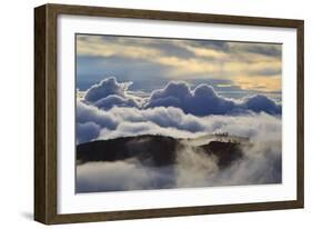 Tree Studded Ridges-Eleanor-Framed Photographic Print