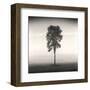 Tree, Study #1-Andrew Ren-Framed Art Print