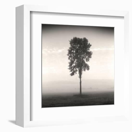 Tree, Study #1-Andrew Ren-Framed Art Print