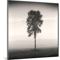 Tree, Study #1-Andrew Ren-Mounted Art Print