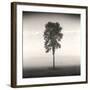 Tree, Study #1-Andrew Ren-Framed Art Print