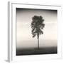 Tree, Study #1-Andrew Ren-Framed Art Print