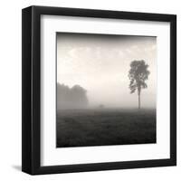 Tree, Study #2-Andrew Ren-Framed Art Print