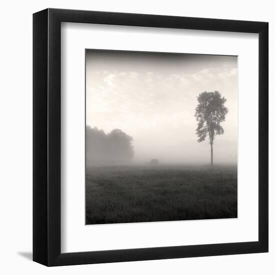 Tree, Study #2-Andrew Ren-Framed Art Print