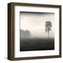 Tree, Study #2-Andrew Ren-Framed Art Print