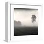 Tree, Study #2-Andrew Ren-Framed Art Print