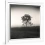 Tree, Study #3-Andrew Ren-Framed Art Print