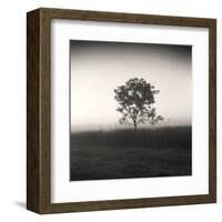 Tree, Study #3-Andrew Ren-Framed Art Print