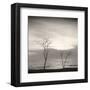 Tree, Study #4-Andrew Ren-Framed Art Print