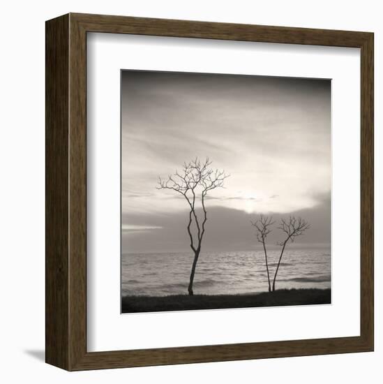 Tree, Study #4-Andrew Ren-Framed Art Print