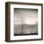 Tree, Study #4-Andrew Ren-Framed Art Print