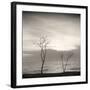 Tree, Study #4-Andrew Ren-Framed Art Print