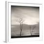 Tree, Study #4-Andrew Ren-Framed Art Print