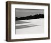 Tree, Study #7-Andrew Ren-Framed Art Print