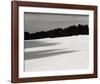 Tree, Study #7-Andrew Ren-Framed Art Print