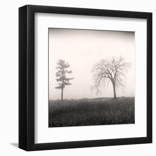 Tree, Study #8-Andrew Ren-Framed Art Print