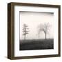 Tree, Study #8-Andrew Ren-Framed Art Print