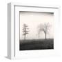 Tree, Study #8-Andrew Ren-Framed Art Print