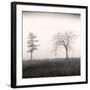 Tree, Study #8-Andrew Ren-Framed Art Print