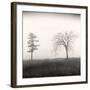 Tree, Study #8-Andrew Ren-Framed Art Print