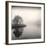 Tree, Study #9-Andrew Ren-Framed Art Print