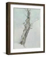 Tree Study, C.1800-05-Robert Hills-Framed Giclee Print