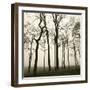 Tree Study I-Michael Kahn-Framed Giclee Print