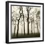 Tree Study I-Michael Kahn-Framed Giclee Print