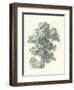 Tree Study I-Wild Apple Portfolio-Framed Art Print