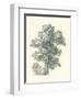 Tree Study I-Wild Apple Portfolio-Framed Art Print