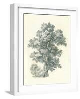 Tree Study I-Wild Apple Portfolio-Framed Art Print