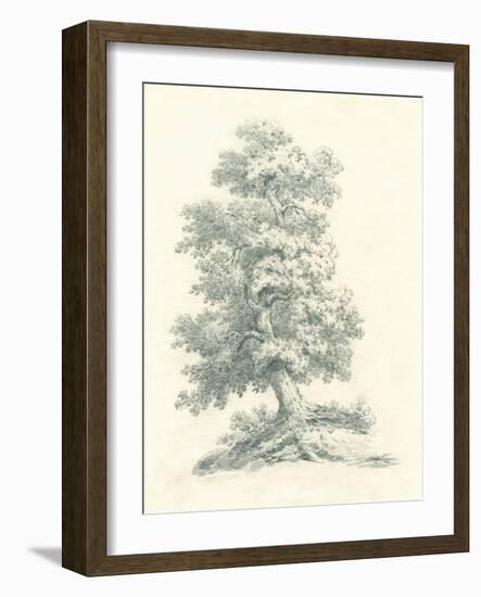 Tree Study II-Wild Apple Portfolio-Framed Art Print