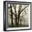 Tree Study III-Michael Kahn-Framed Giclee Print