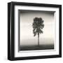 Tree, Study, no. 1-Andrew Ren-Framed Giclee Print