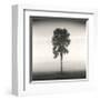 Tree, Study, no. 1-Andrew Ren-Framed Giclee Print