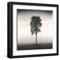 Tree, Study, no. 1-Andrew Ren-Framed Giclee Print