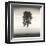 Tree, Study, no. 1-Andrew Ren-Framed Giclee Print