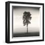 Tree, Study, no. 1-Andrew Ren-Framed Giclee Print