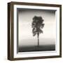 Tree, Study, no. 1-Andrew Ren-Framed Giclee Print