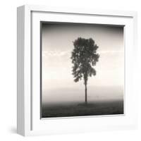 Tree, Study, no. 1-Andrew Ren-Framed Giclee Print