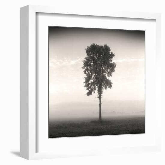 Tree, Study, no. 1-Andrew Ren-Framed Giclee Print