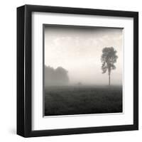 Tree, Study, no. 2-Andrew Ren-Framed Giclee Print