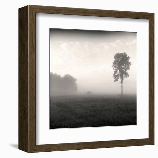 Tree, Study, no. 2-Andrew Ren-Framed Giclee Print